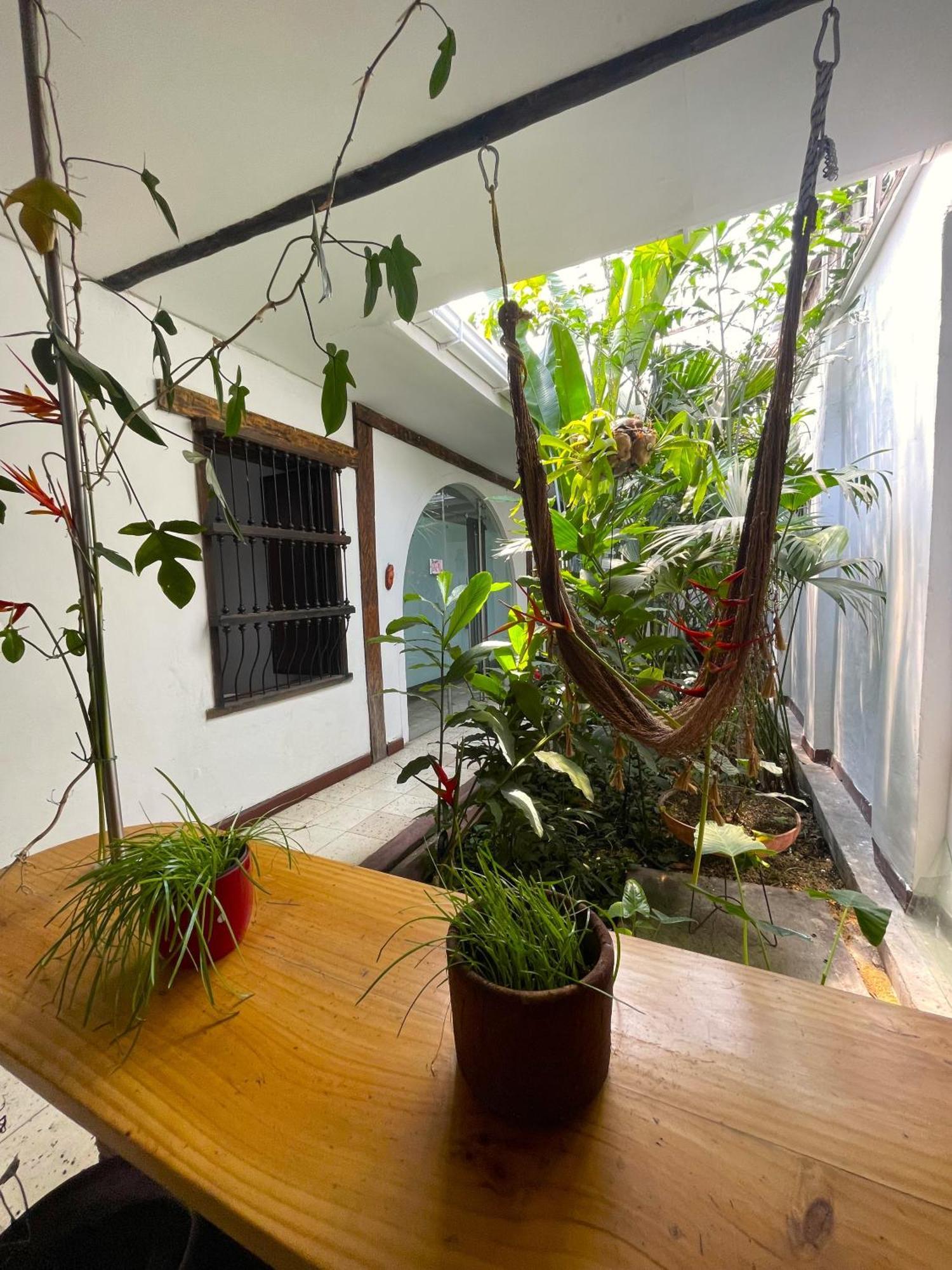 Hostal Chontaduro Casa Colonial En Pleno Centro Historico De Cali- Se Alquila La Casa Entera Para 12 O 13 Personas O Por Habitaciones Екстер'єр фото