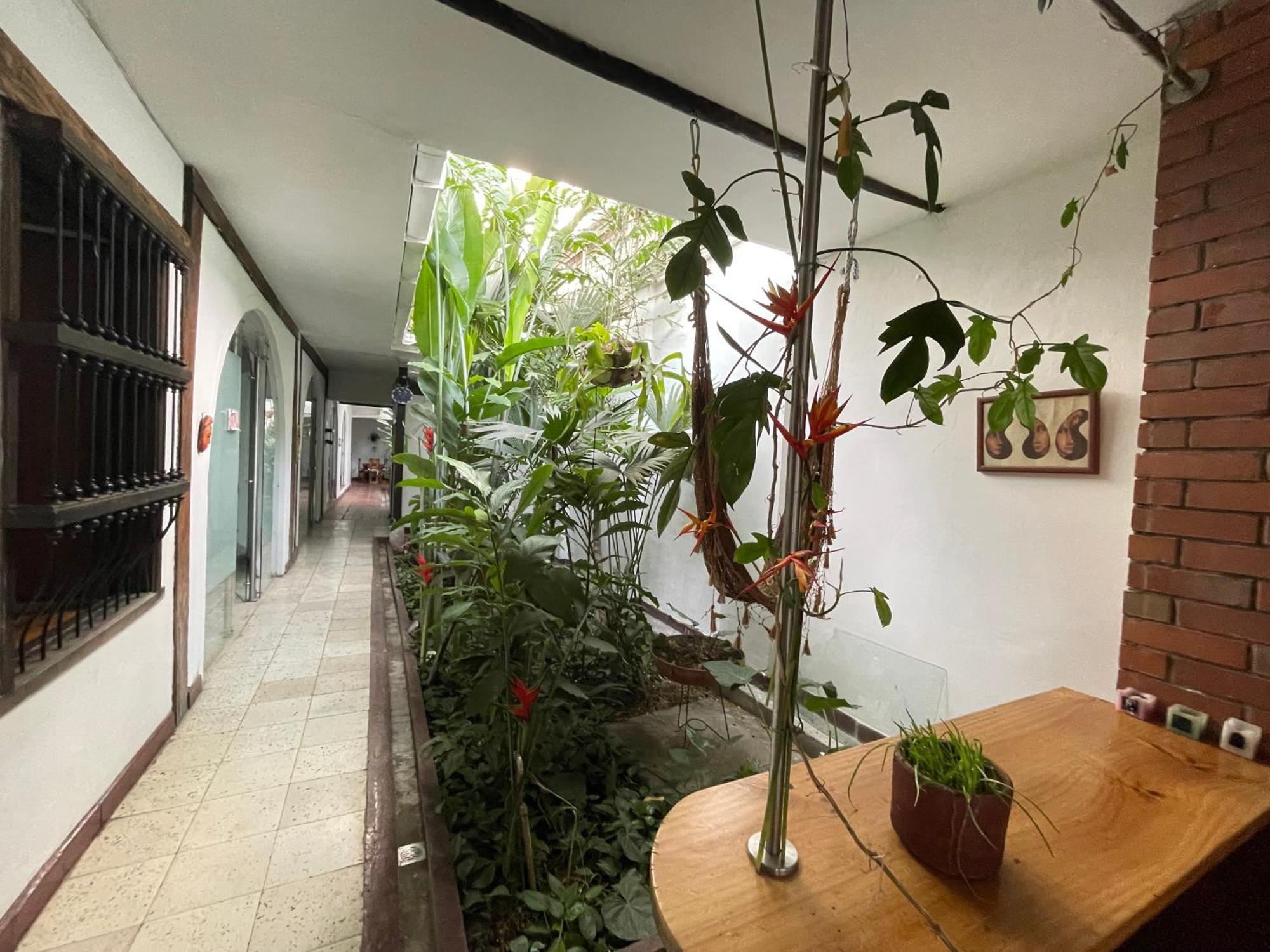 Hostal Chontaduro Casa Colonial En Pleno Centro Historico De Cali- Se Alquila La Casa Entera Para 12 O 13 Personas O Por Habitaciones Екстер'єр фото